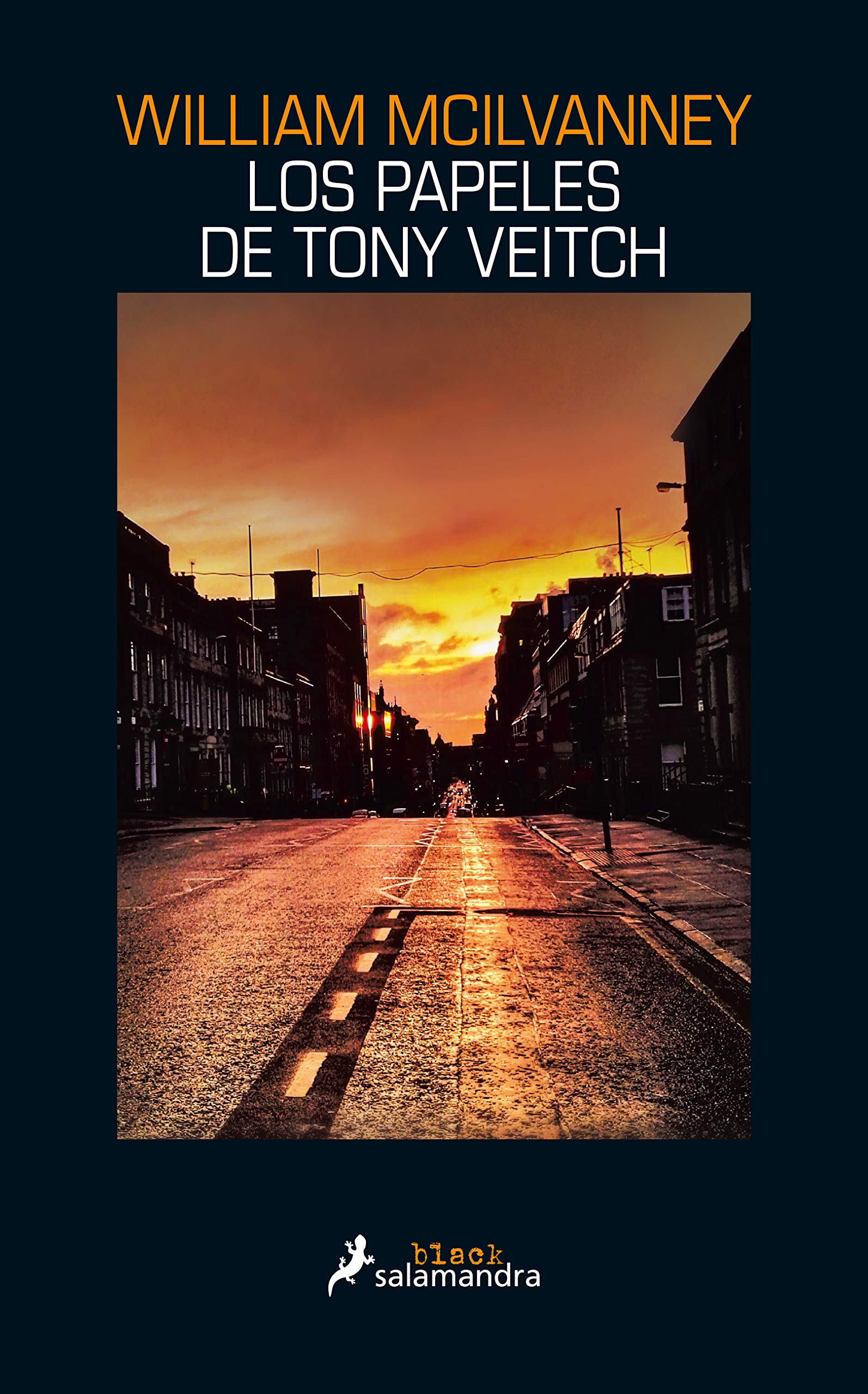 Los papeles de Tony Veitch book