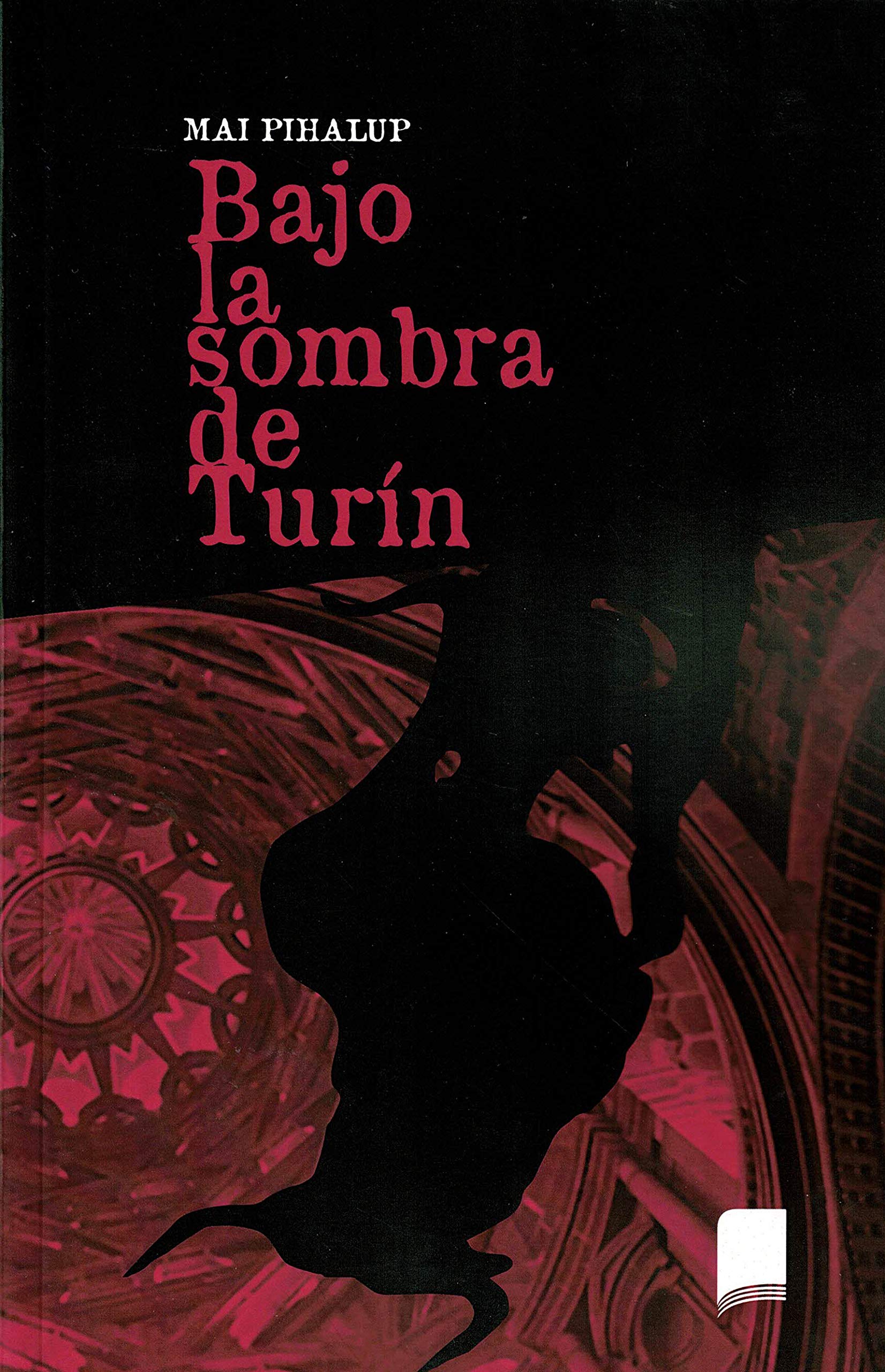 Bajo La Sombra de Turín book