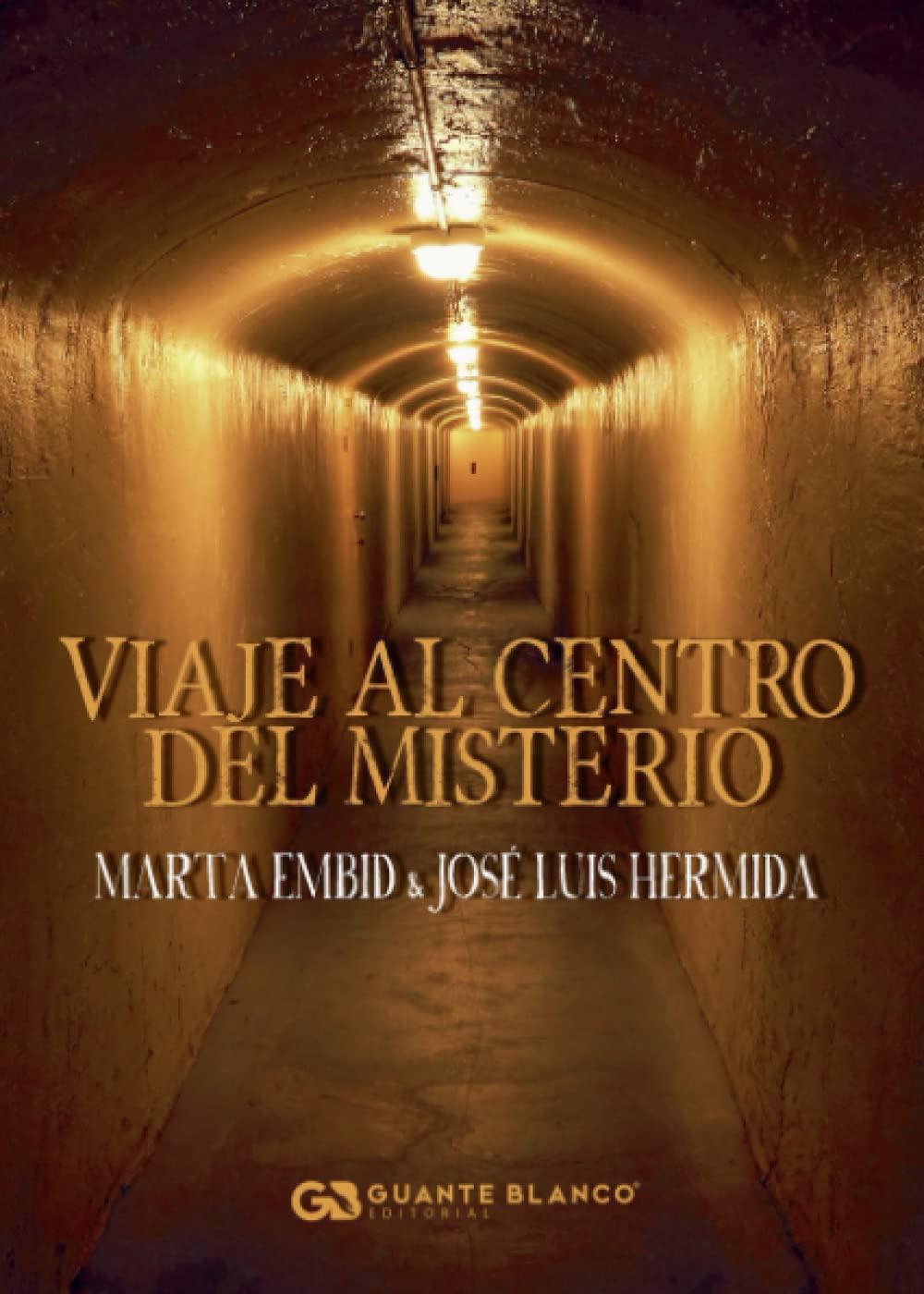 Viaje al centro del misterio book