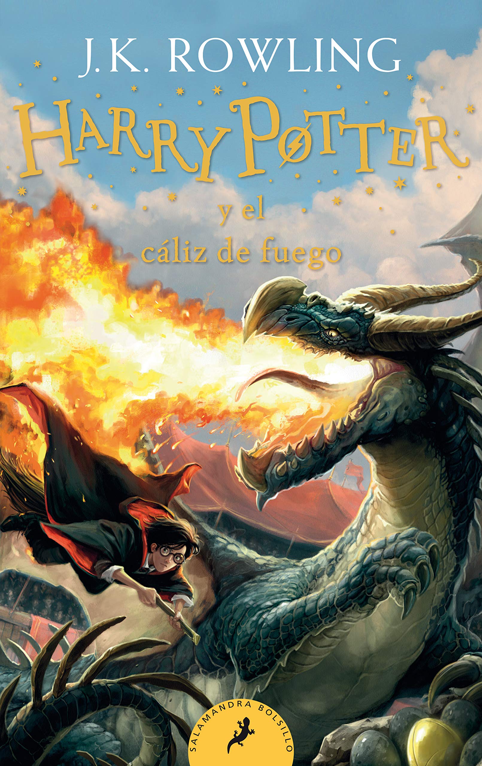 Harry Potter 4 y el cáliz de fuego Contemporary literature
