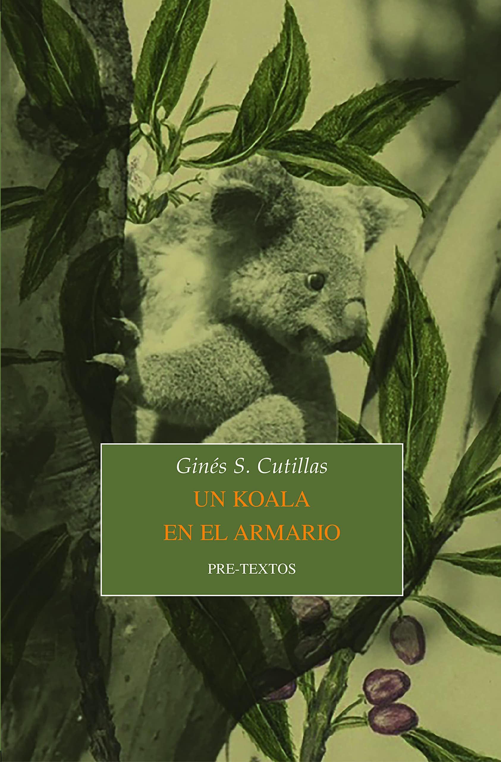 Un koala en el armario book