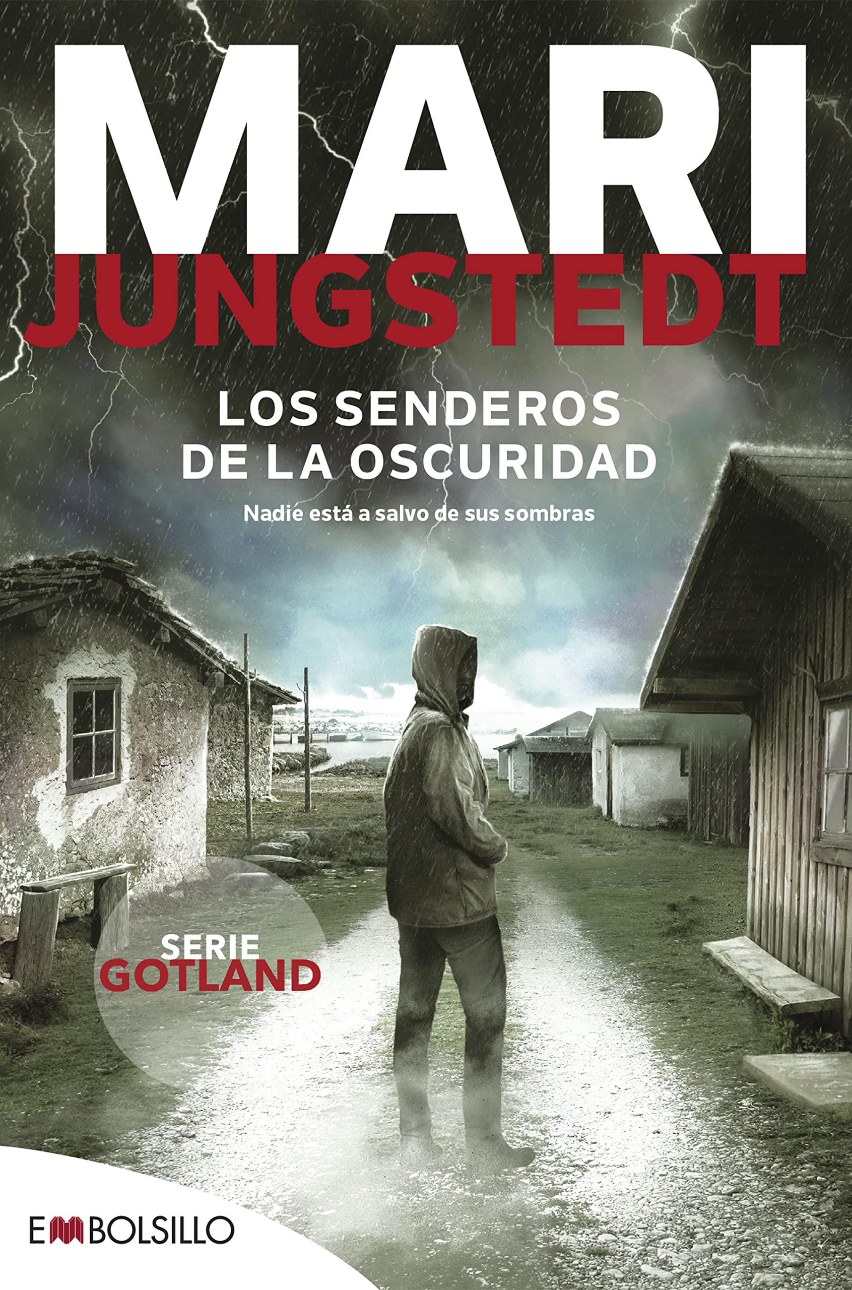 Los senderos de la oscuridad / The Paths of Darkness book