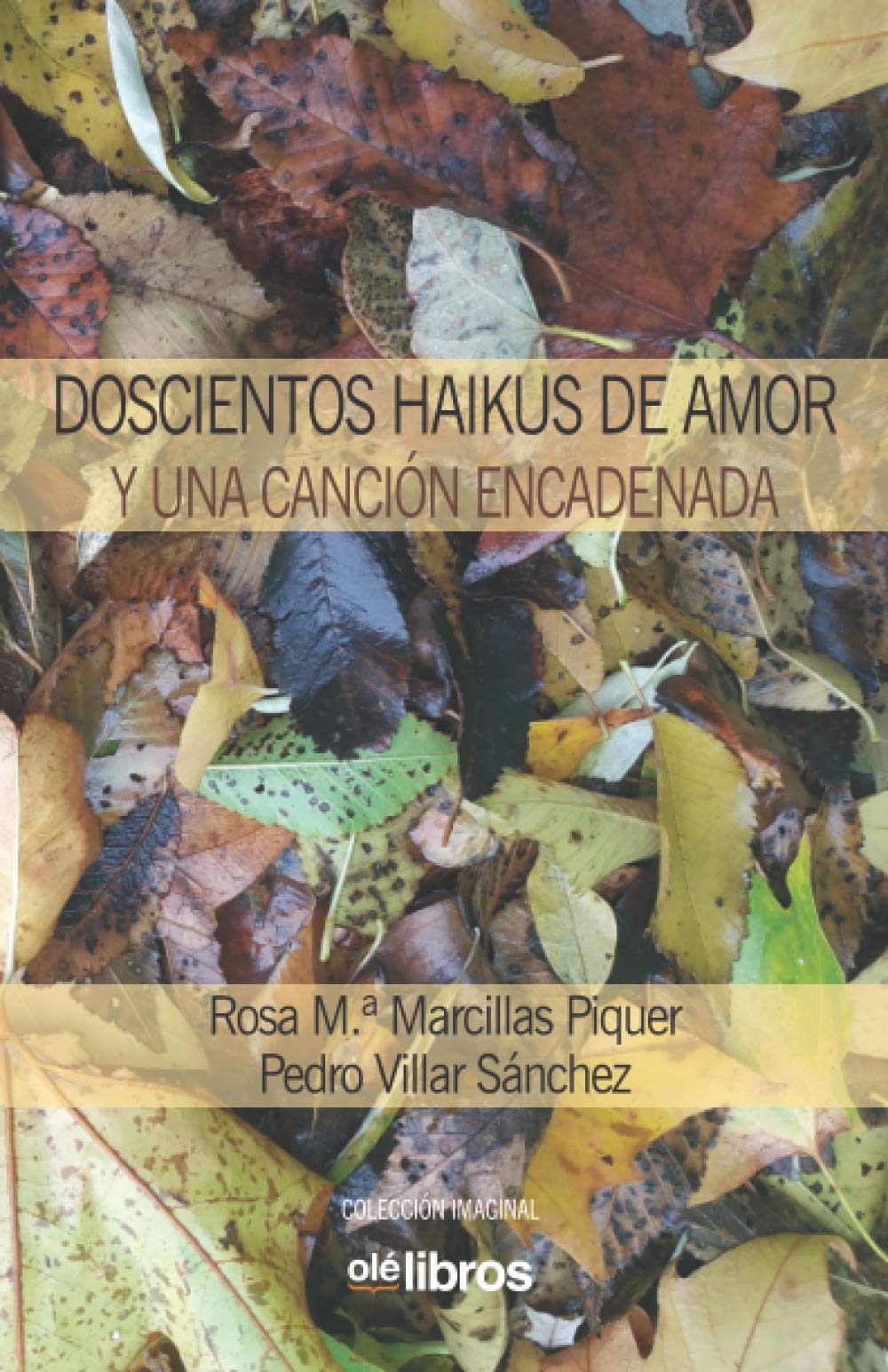 Doscientos haikus de amor y una canción encadenada book
