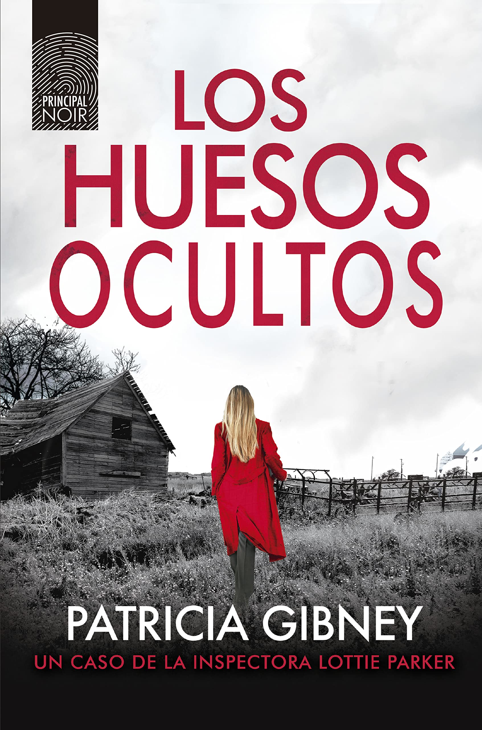 Los huesos ocultos / Little Bones book