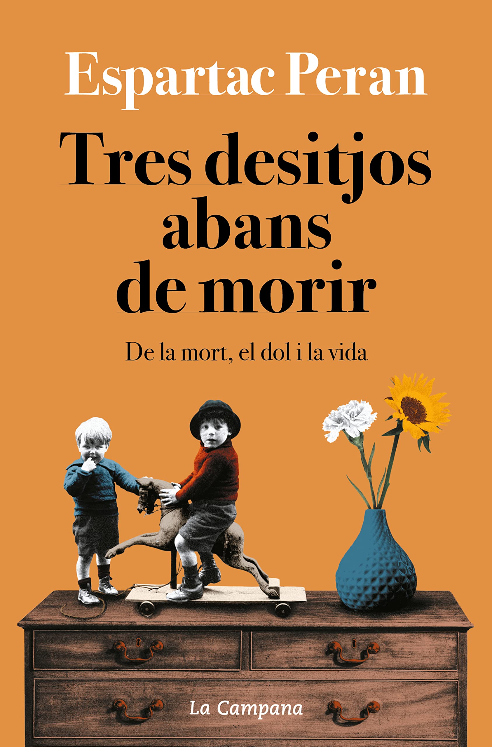 Tres desitjos abans de morir: De la mort, el dol i la vida book