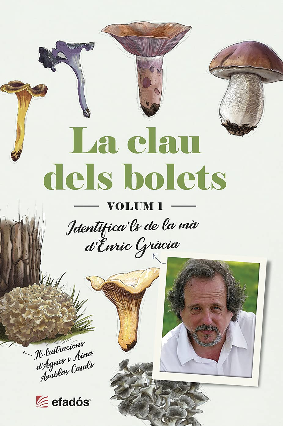 LA CLAU DELS BOLETS: Identifica´ls de la mà de l'Enric Gràcia Leisure, Home & Garden