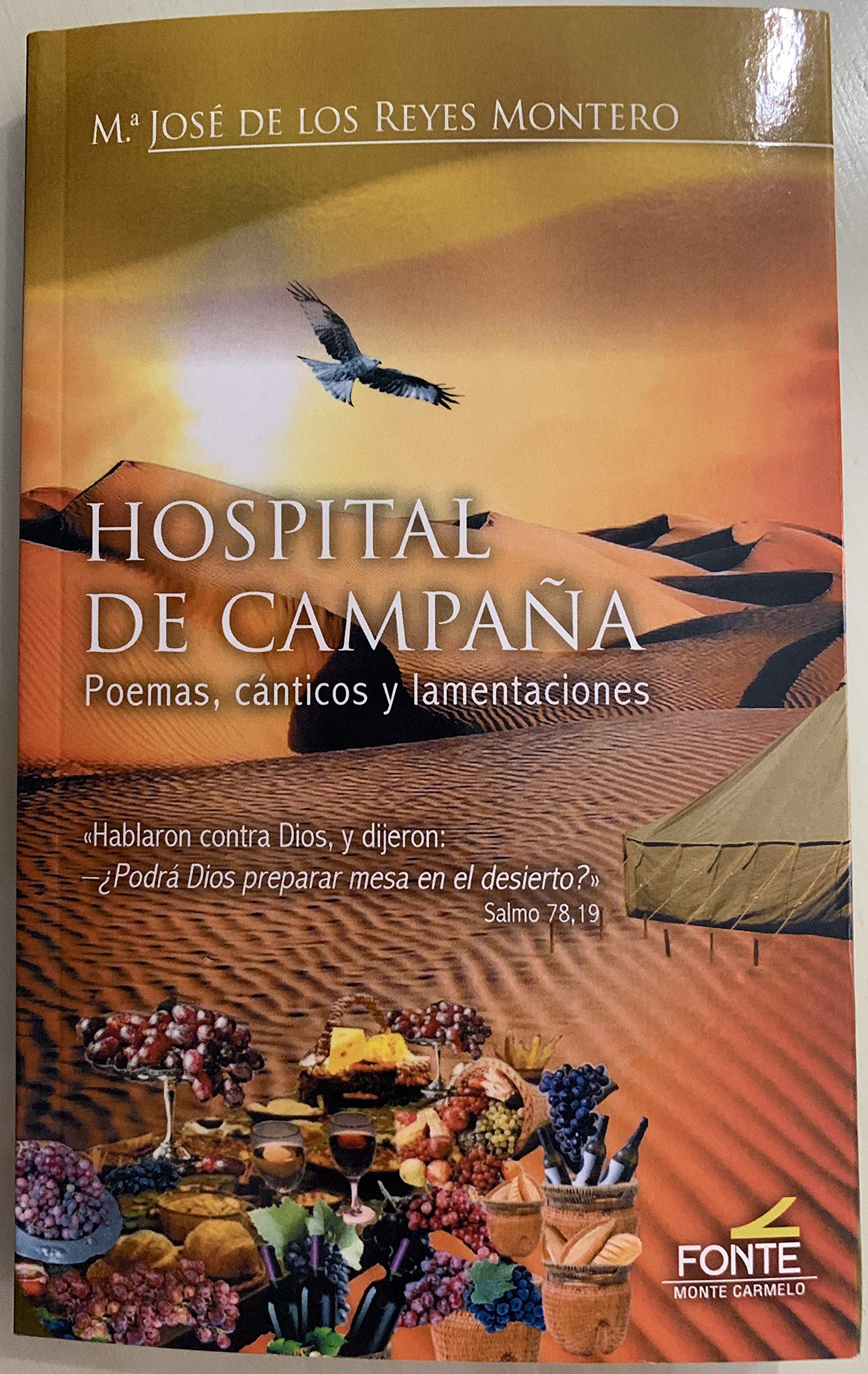 Hospital de campaña: Poemas, cánticos y lamentaciones book