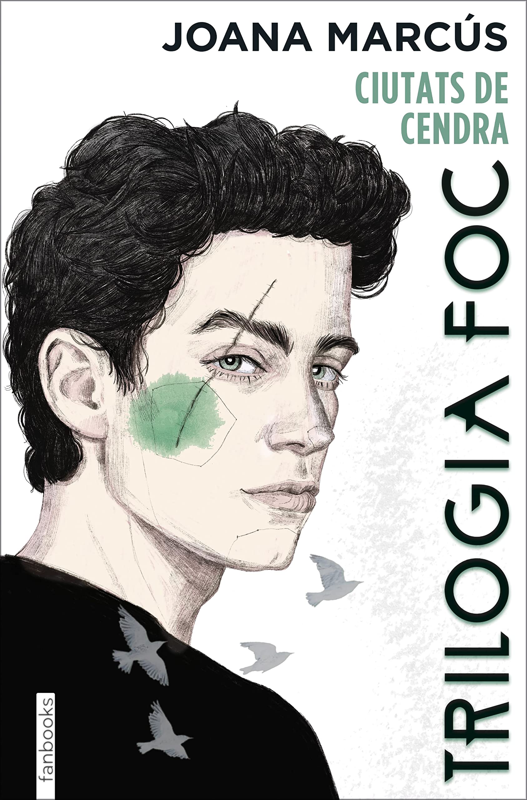 Trilogia Foc 2: Ciutats de cendra book