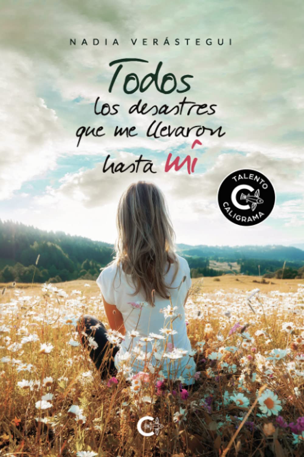 Todos los desastres que me llevaron hasta mí book