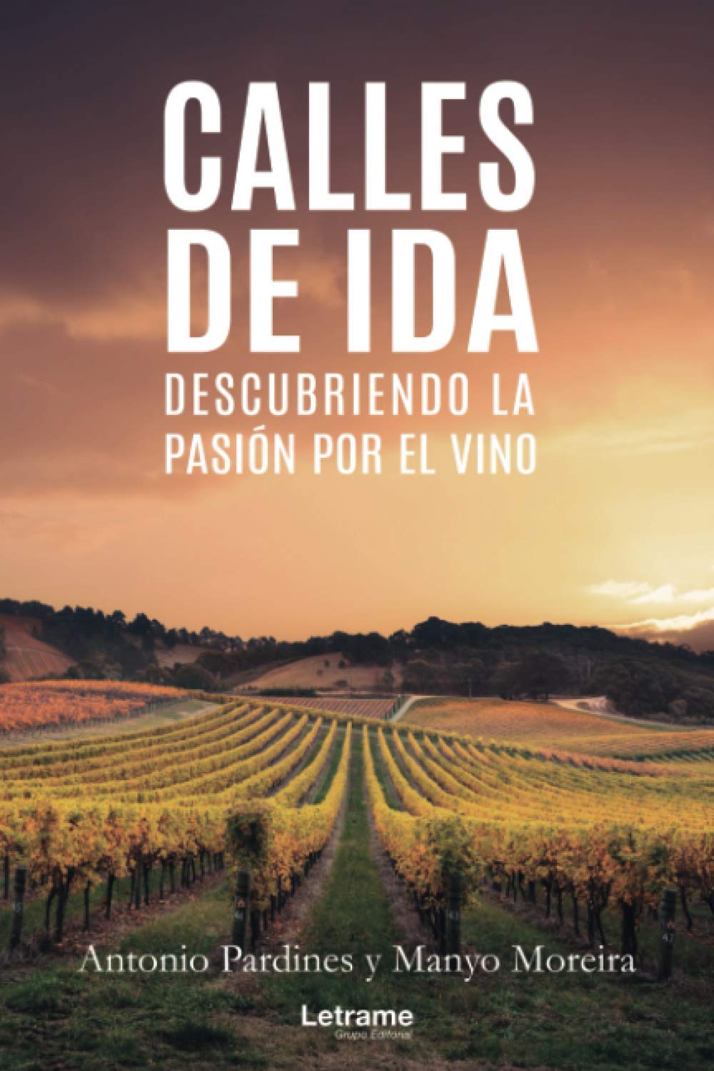 Calles de ida. Descubriendo la pasión por el vino book