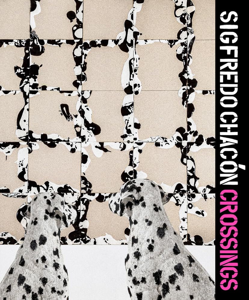 Sigfredo Chacón. Crossings (Arte y foto) Film, Art & Culture