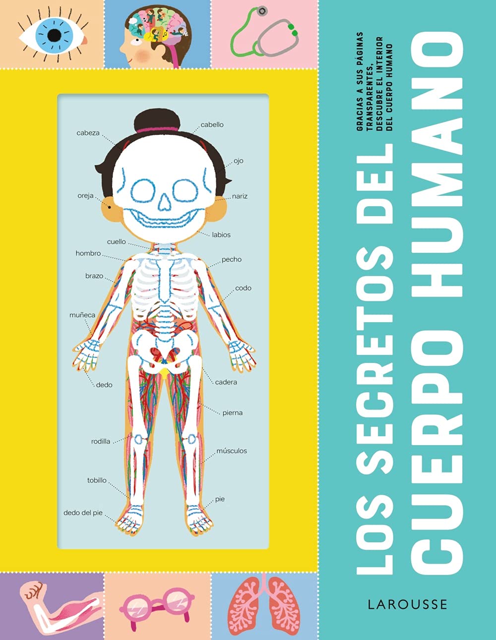 Los secretos del cuerpo humano (LAROUSSE - Infantil / Juvenil - Castellano - A partir de 8 años) Non-fiction
