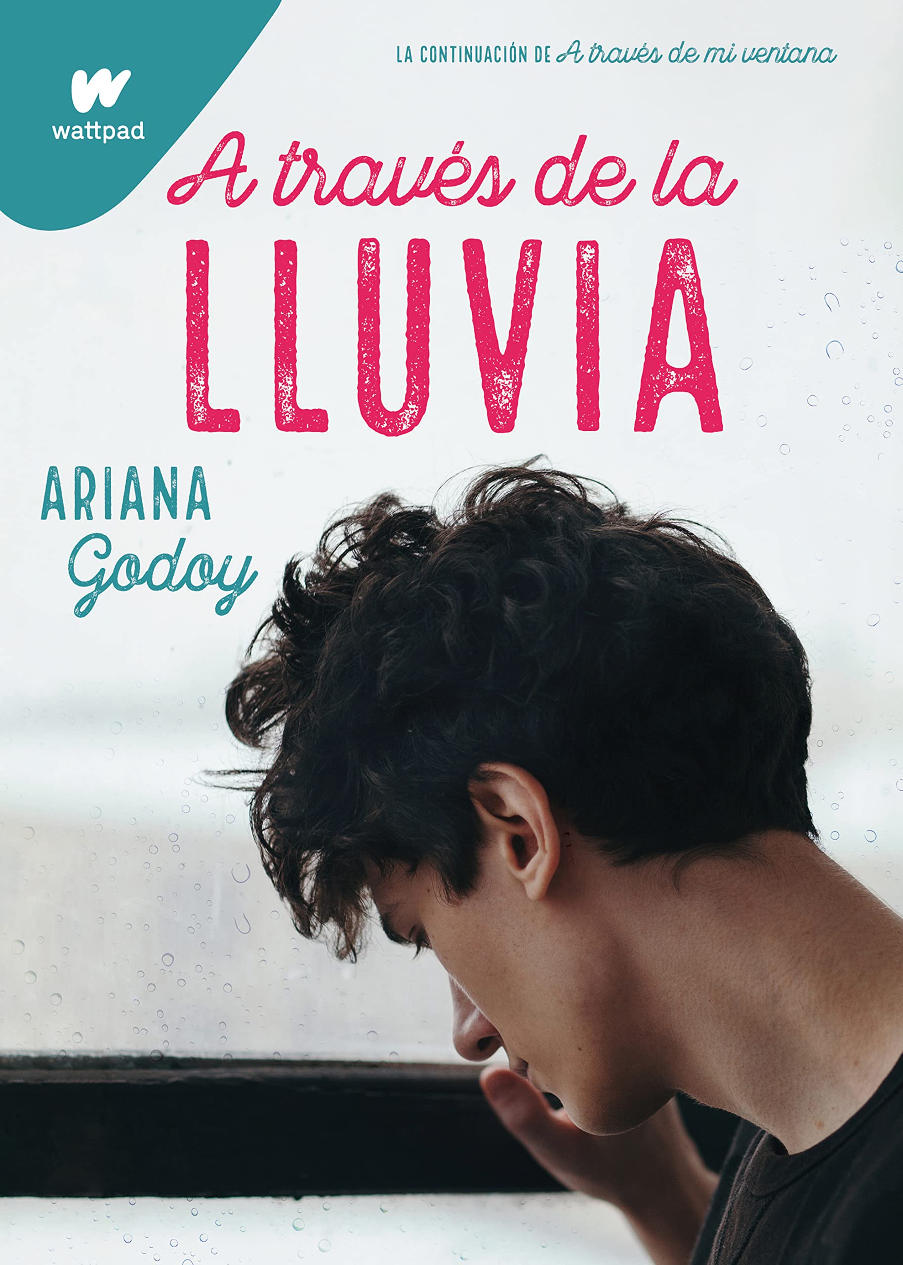 A través de la lluvia (edición revisada por la autora) (Trilogía Hermanos Hidalgo 3) (Wattpad, Band 3) Eroticism
