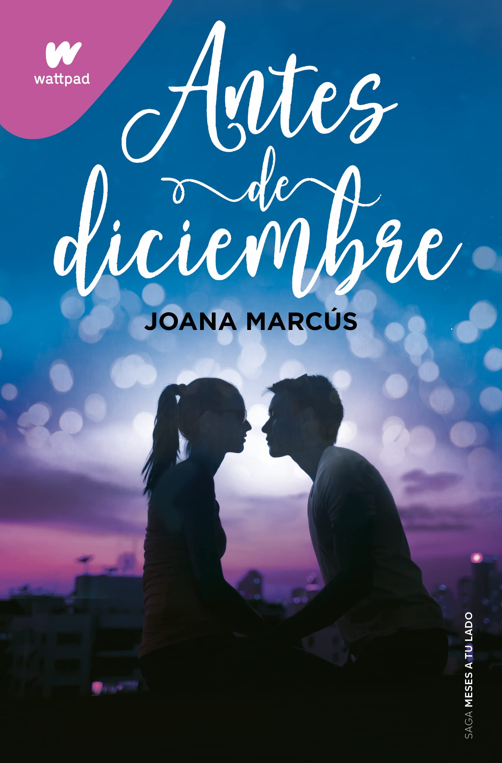 Antes de diciembre (edición revisada por la autora) (Meses a tu lado 1) (Wattpad, Band 1) Business, Finance & Career