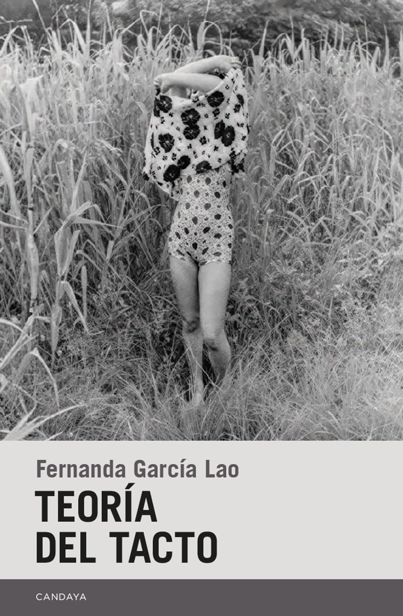Teoría del tacto Contemporary literature