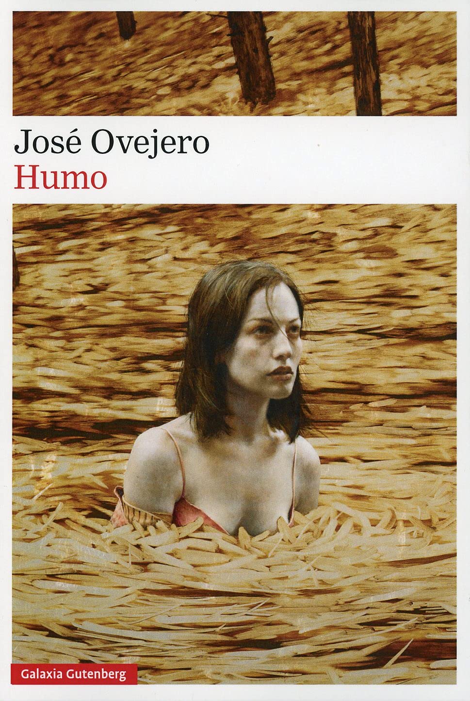 Humo (Narrativa) Contemporary literature