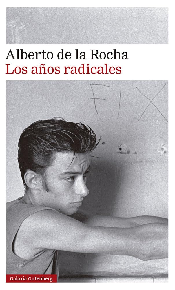 Los años radicales (Narrativa) Contemporary literature