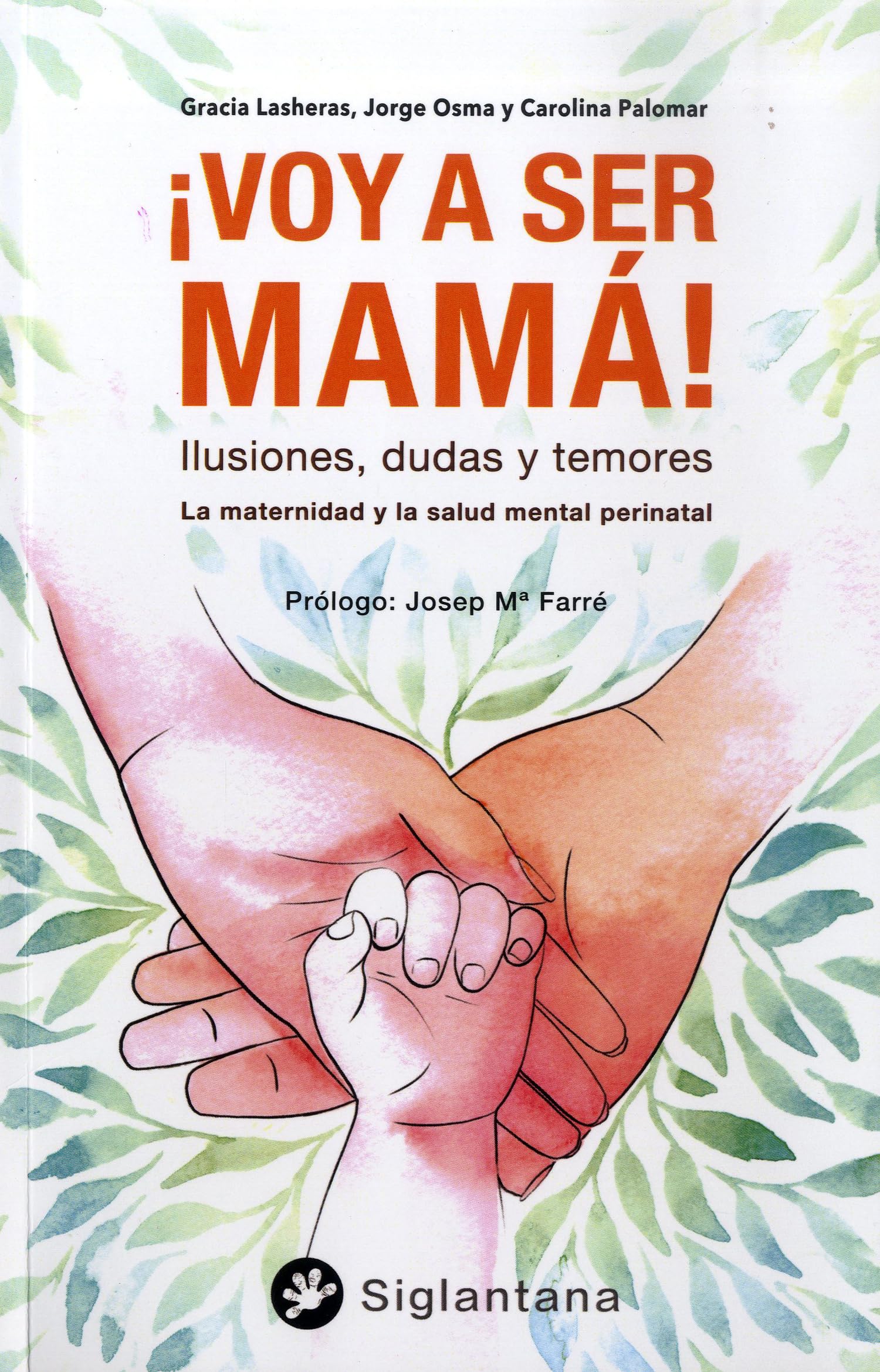 La maternidad y la salud mental perinatal: Temores, dudas e ilusiones book