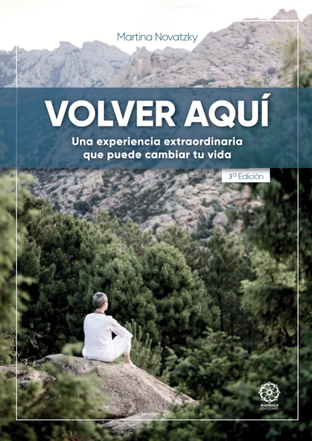 Volver aquí book