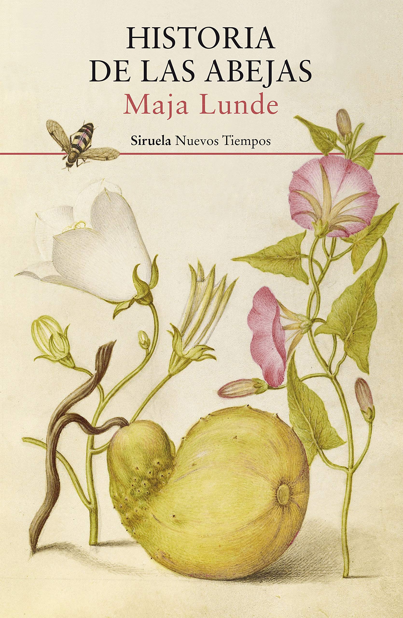 Historia de las abejas (Nuevos Tiempos, Band 474) Contemporary literature