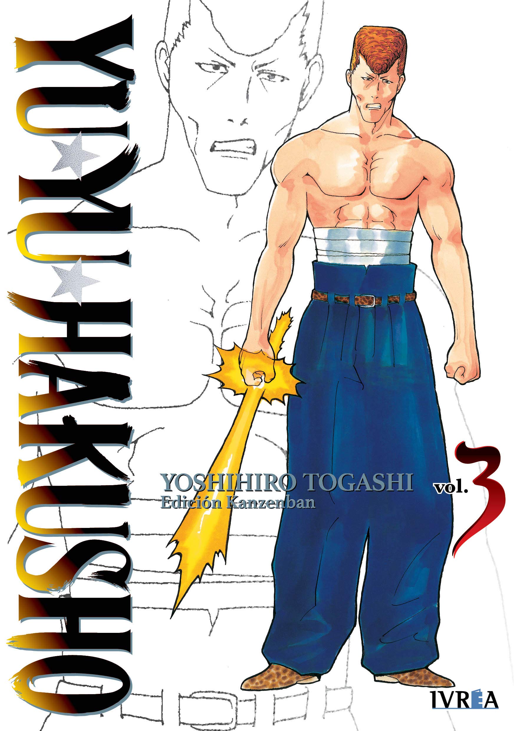 Yu Yu Hakusho Edición Kanzenban 3: 2 book