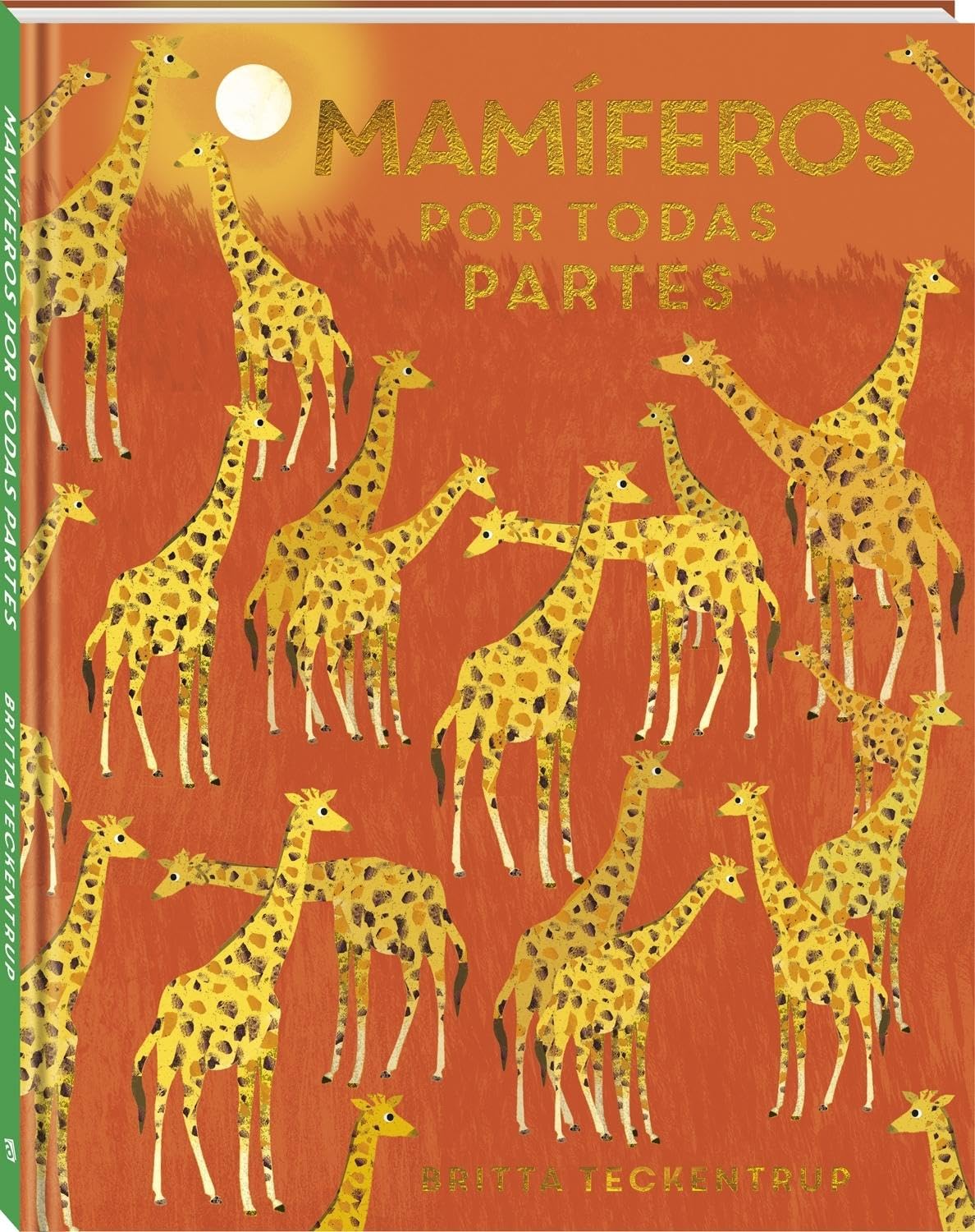 Mamíferos por todas partes/ There Are Mammals Everywhere book