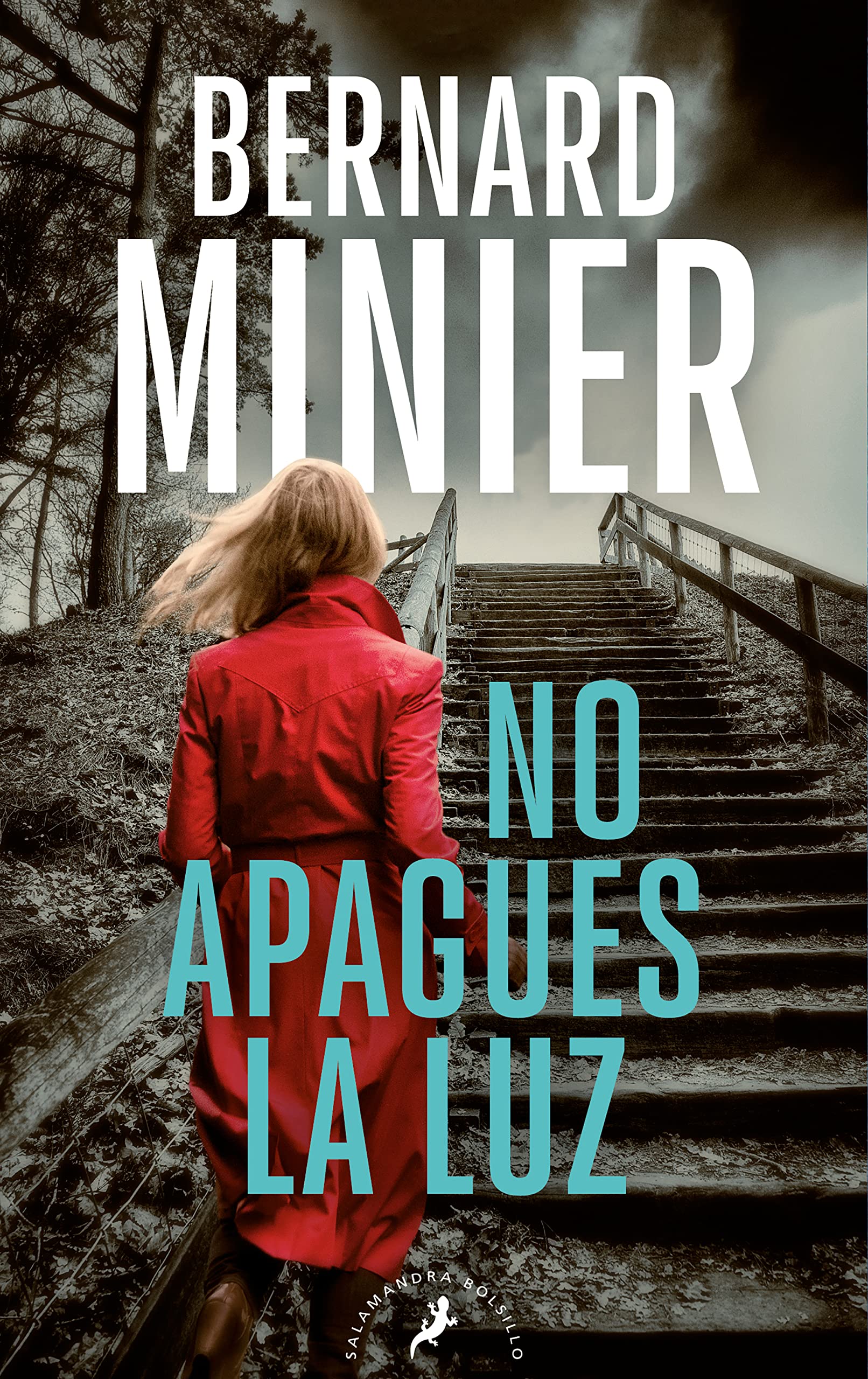 No apagues la luz (Comandante Servaz 3) book