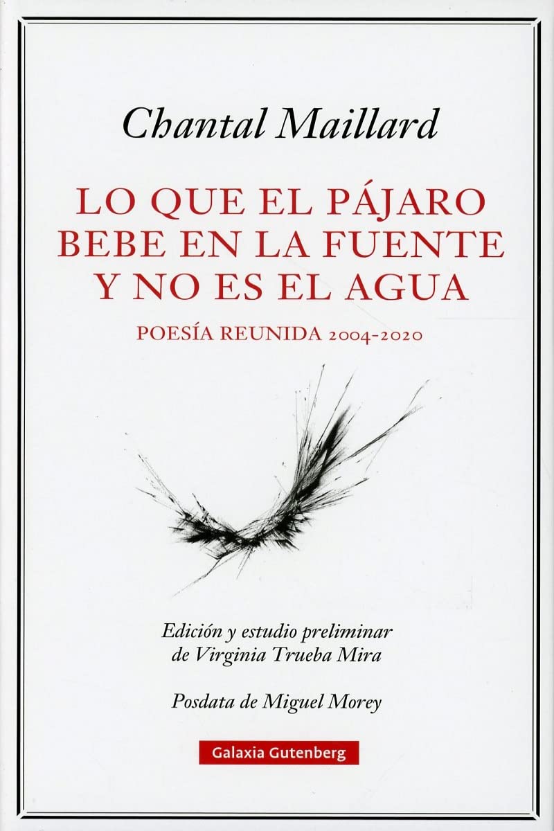 Lo que el pájaro bebe en la fuente y no es el agua: Obra poética reunida 2004-2020 (POESÍA) Poetry