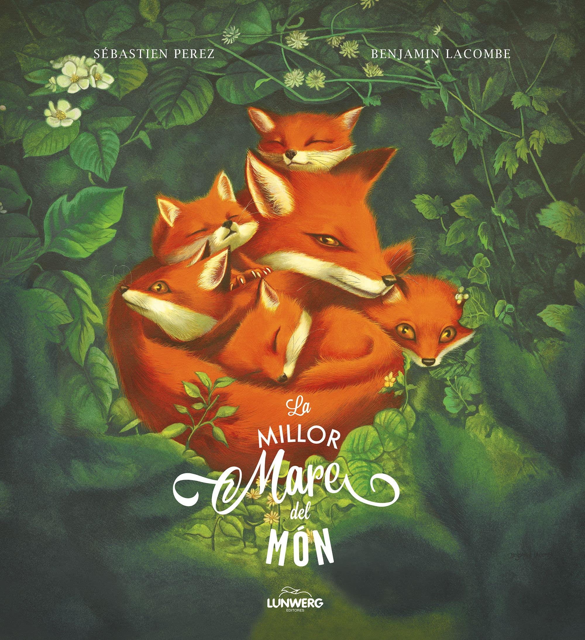 La millor mare del món (Benjamin Lacombe) book
