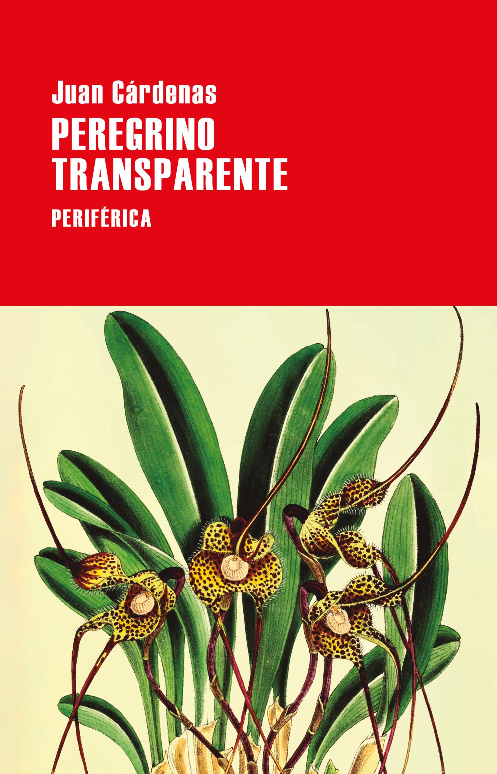 Peregrino transparente (Largo recorrido, Band 183) Contemporary literature