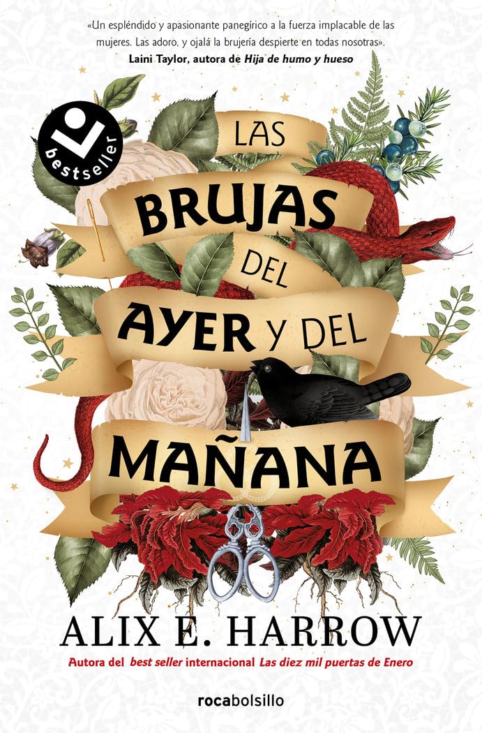 Las brujas del ayer y del mañana book