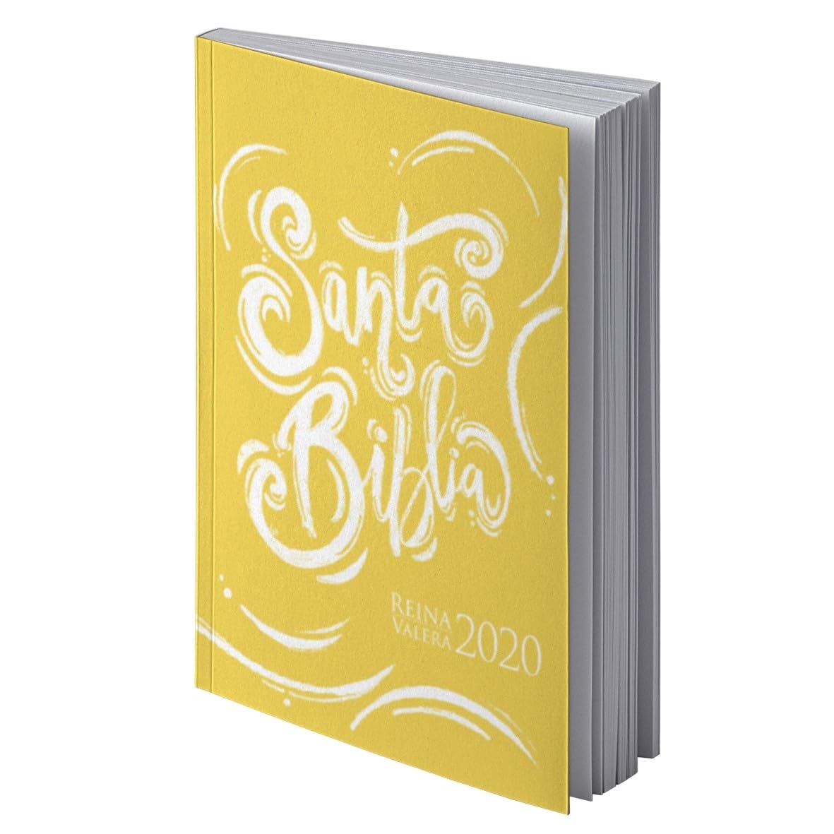BIBLIA REINA VALERA 2020 book