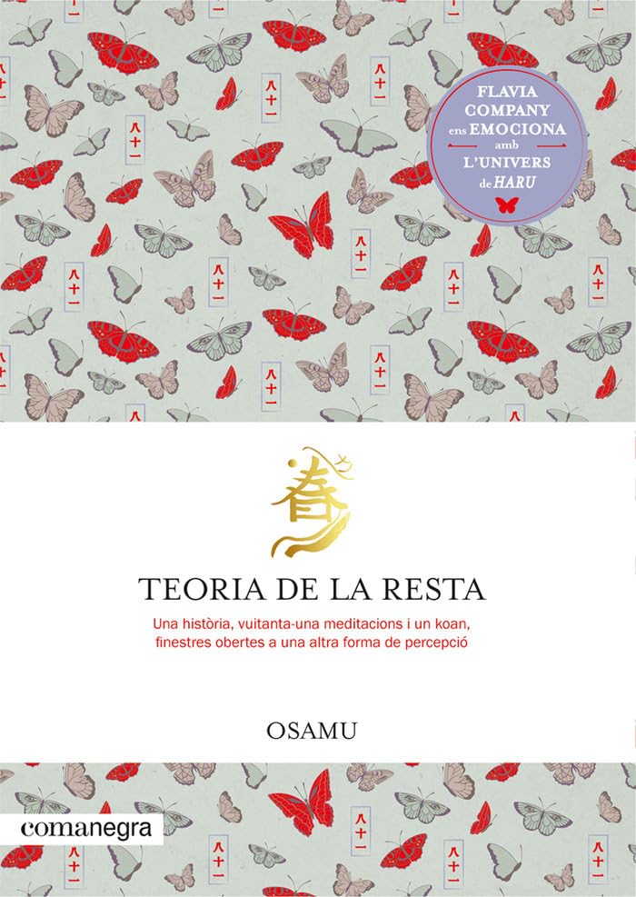 Teoria de la resta: Una història, vuitanta-una meditacions i un koan book