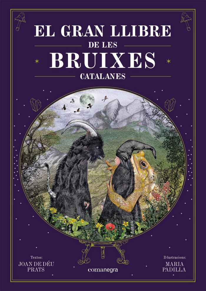 El gran llibre de les bruixes catalanes Books