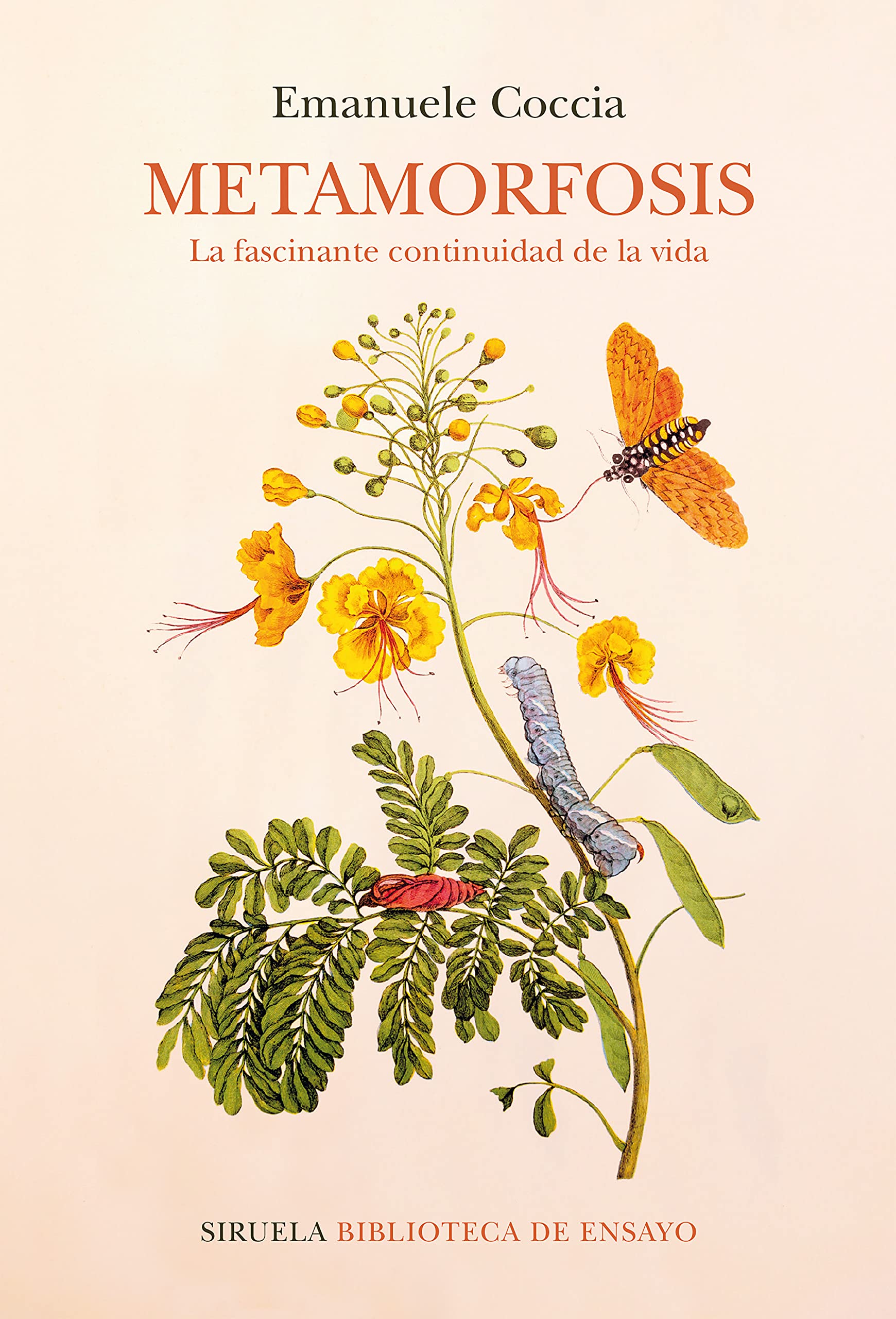 Metamorfosis: La fascinante continuidad de la vida book