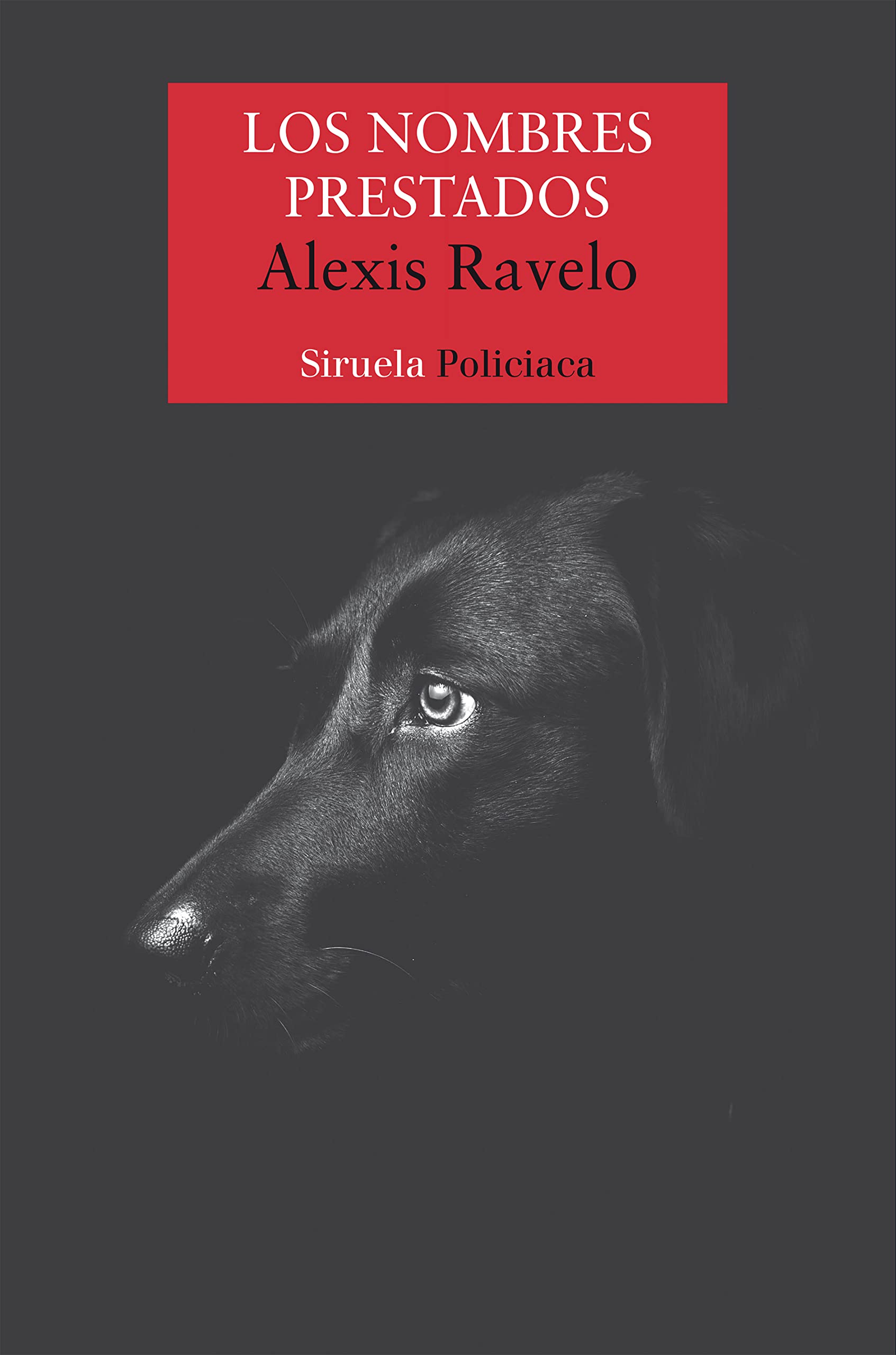 Los nombres prestados (Nuevos Tiempos, Band 490) Contemporary literature