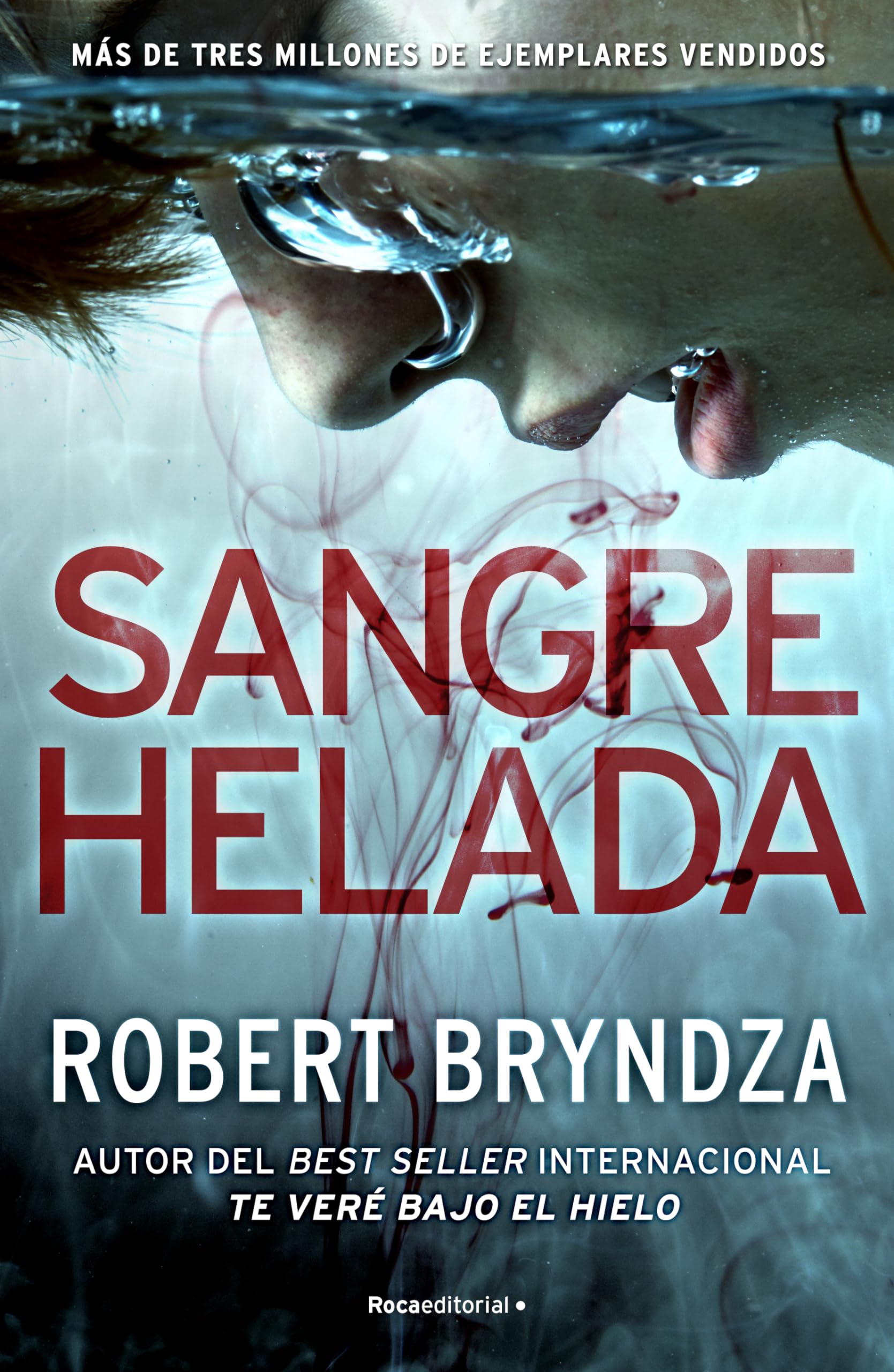 Sangre helada (Serie Erika Foster 5) (Thriller y Suspense, Band 5) Contemporary literature