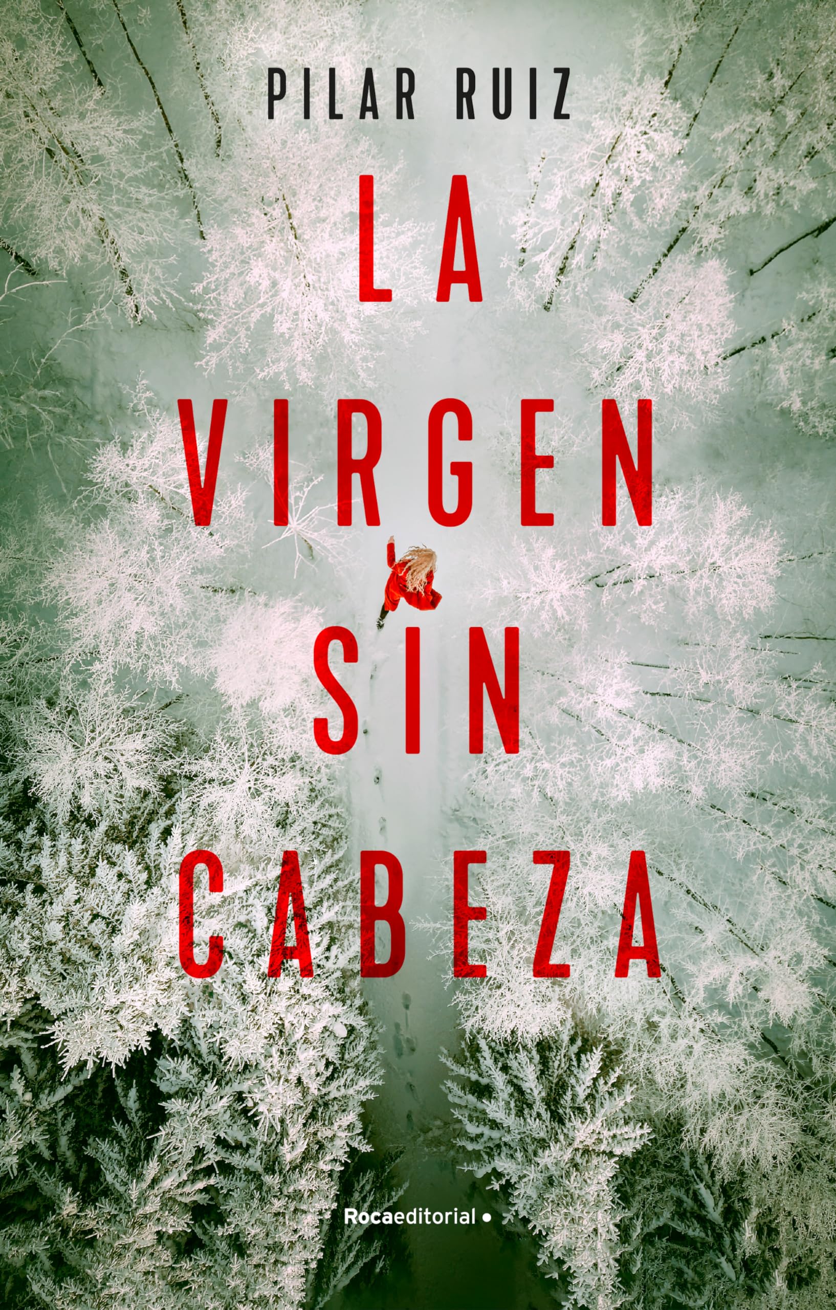 La virgen sin cabeza (Novela) Contemporary literature