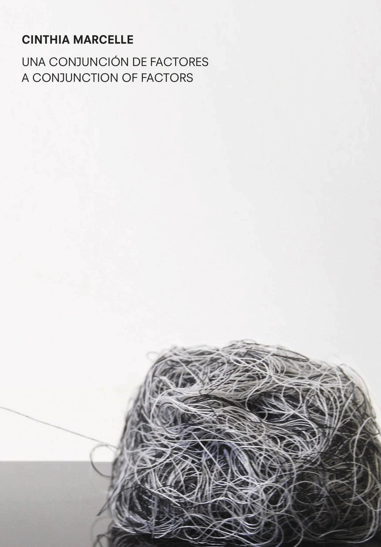 Cinthia Marcelle: A Conjunction of Factors Photography
