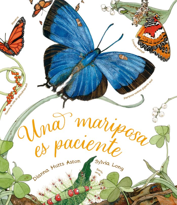 Una mariposa es paciente / A Butterfly Is Patient book