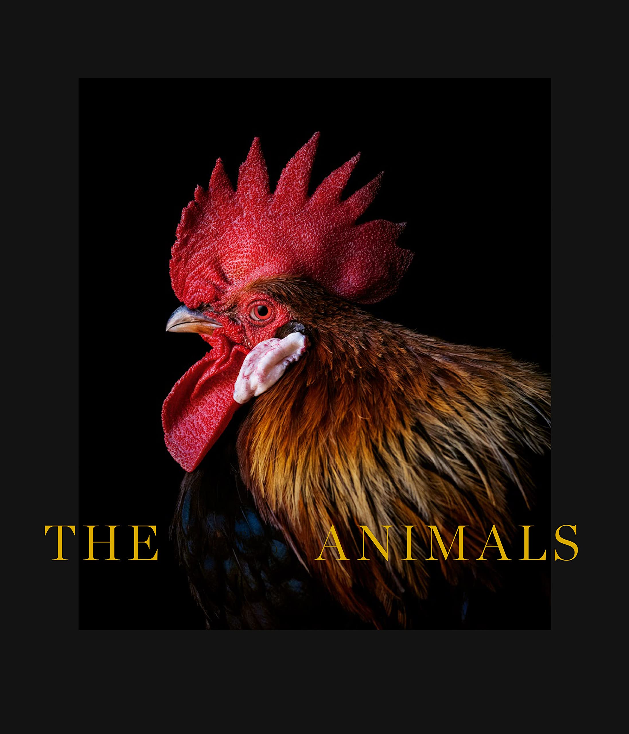 Estela de Castro: The Animals Photography