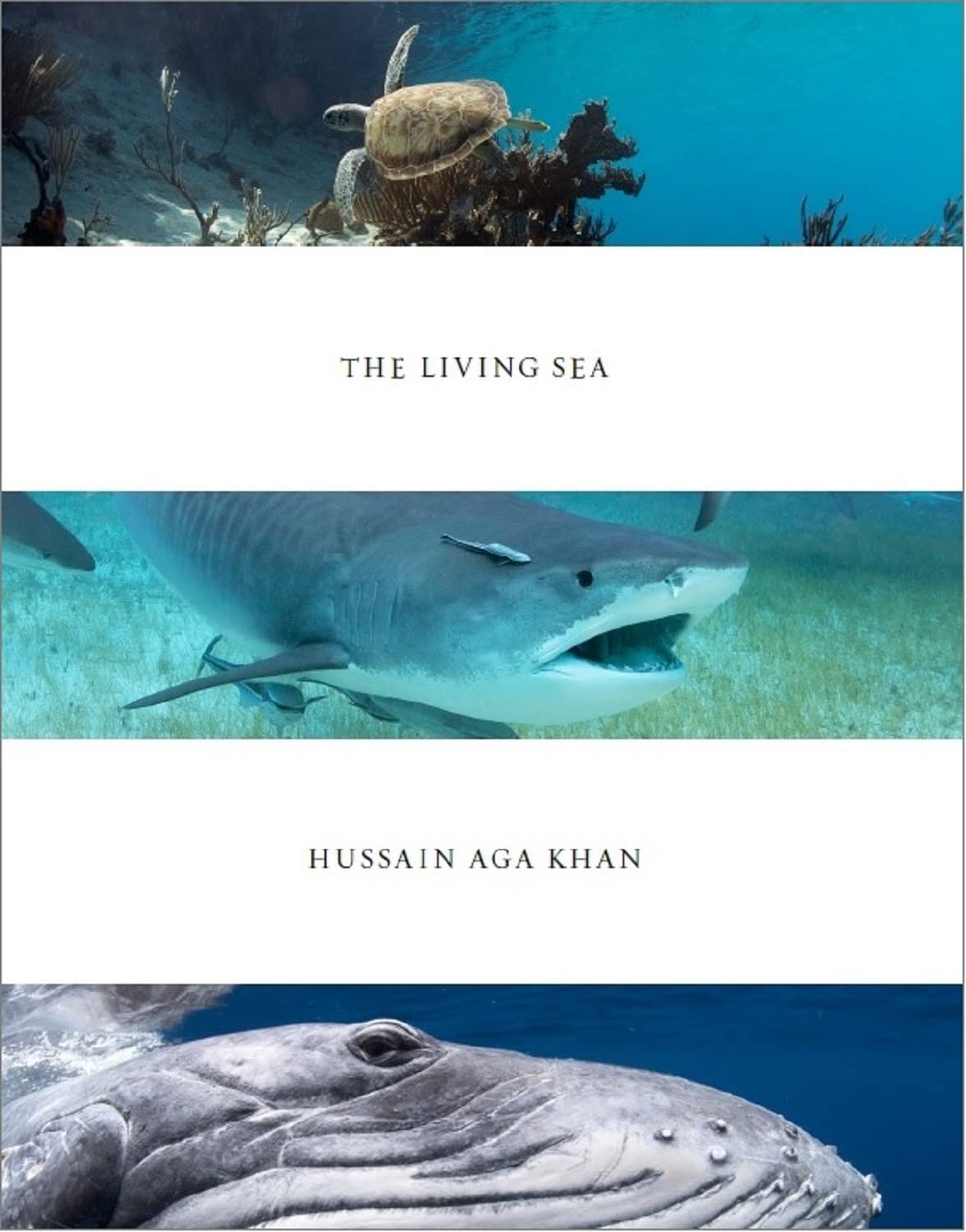 Hussain Aga Khan: The Living Sea Photography