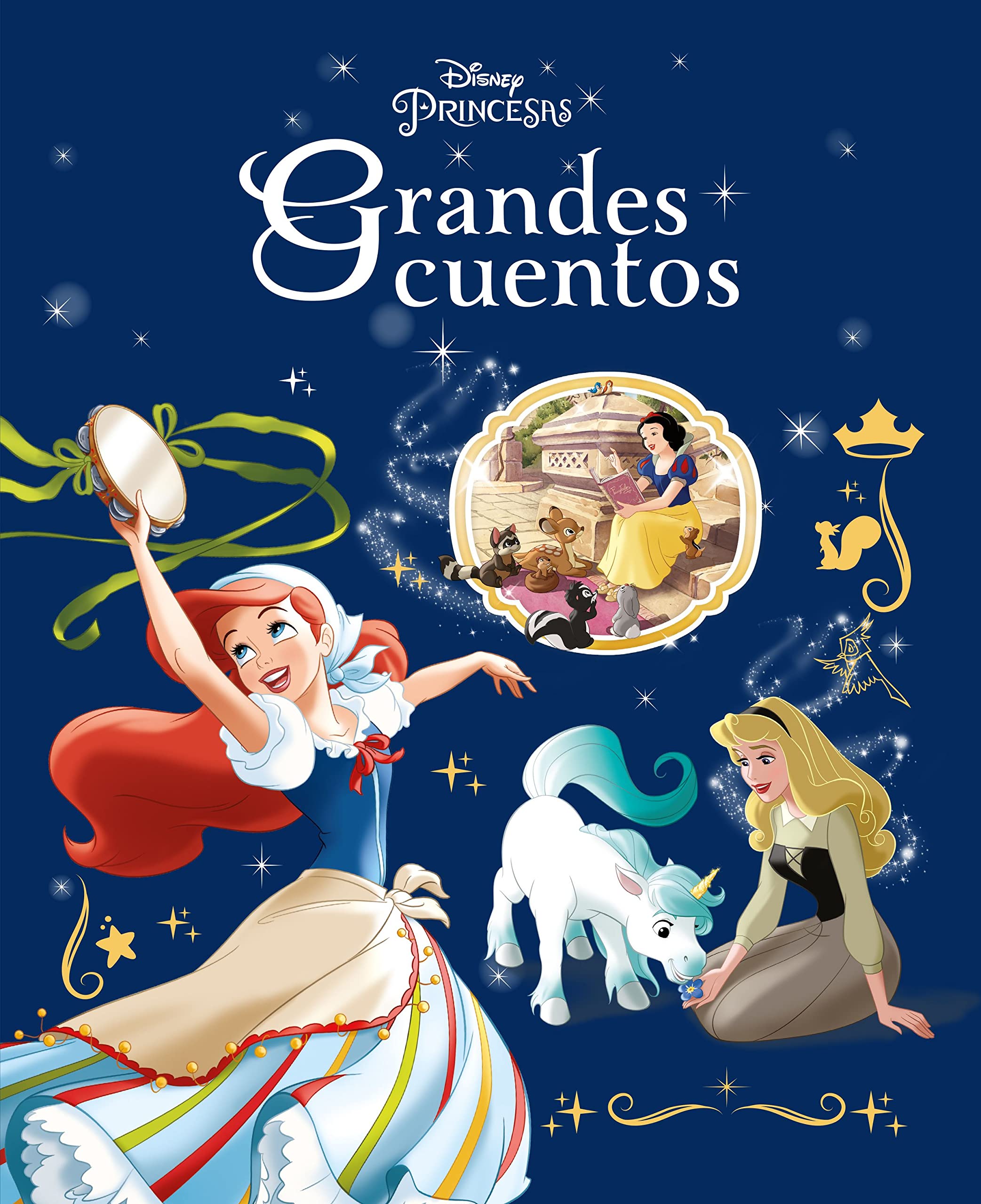 Princesas. Grandes cuentos: Recopilatorio de cuentos book