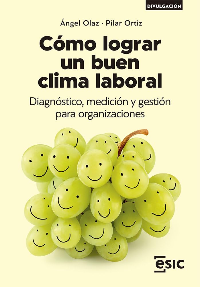Cómo lograr un buen clima laboral: Diagnóstico, medición y gestión para organizaciones (Divulgación) book