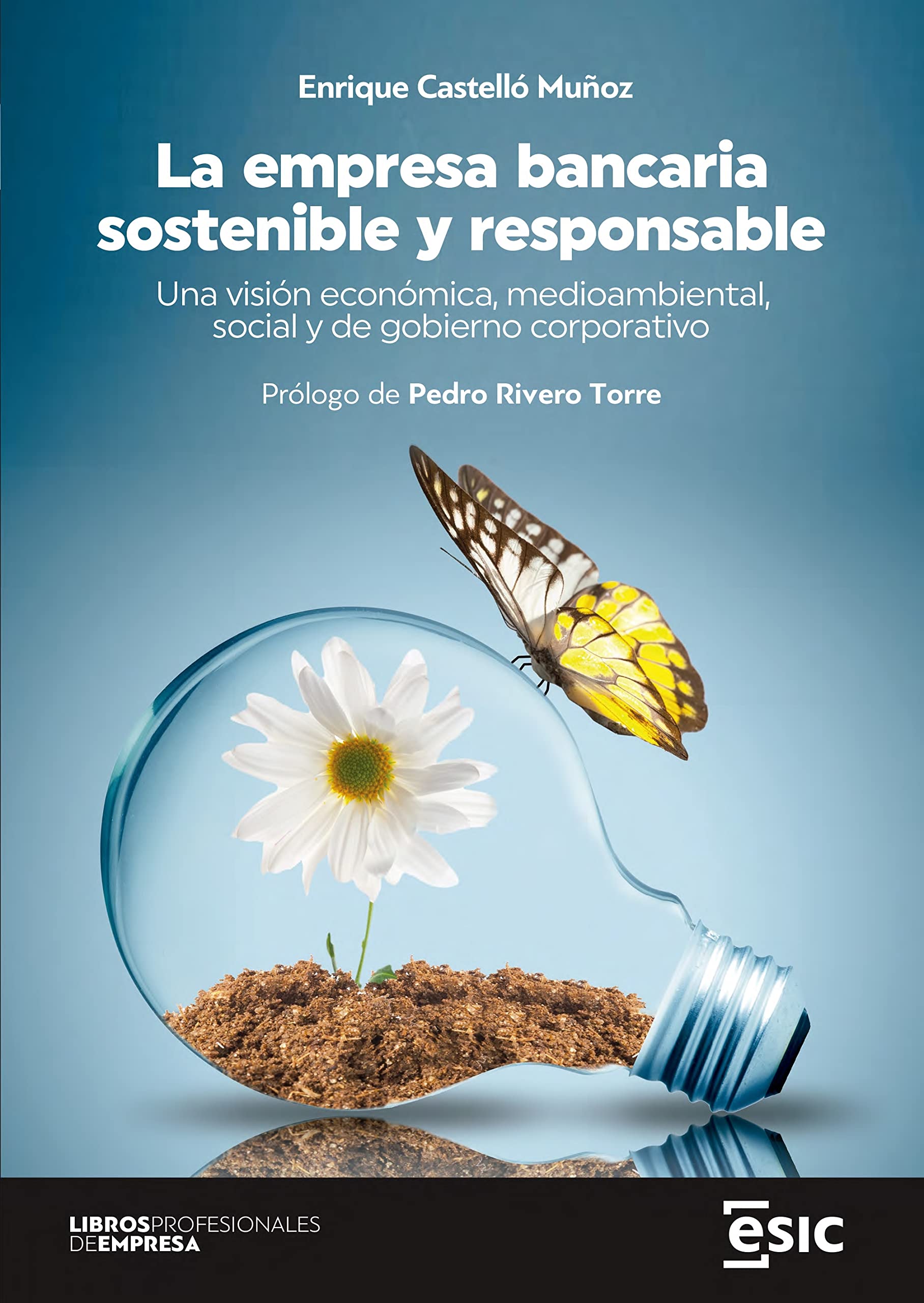 La empresa bancaria sostenible y responsable: Una visión económica, medioambiental, social y de gobierno corporativo (Libros profesionales de empresa) Business, Finance & Career