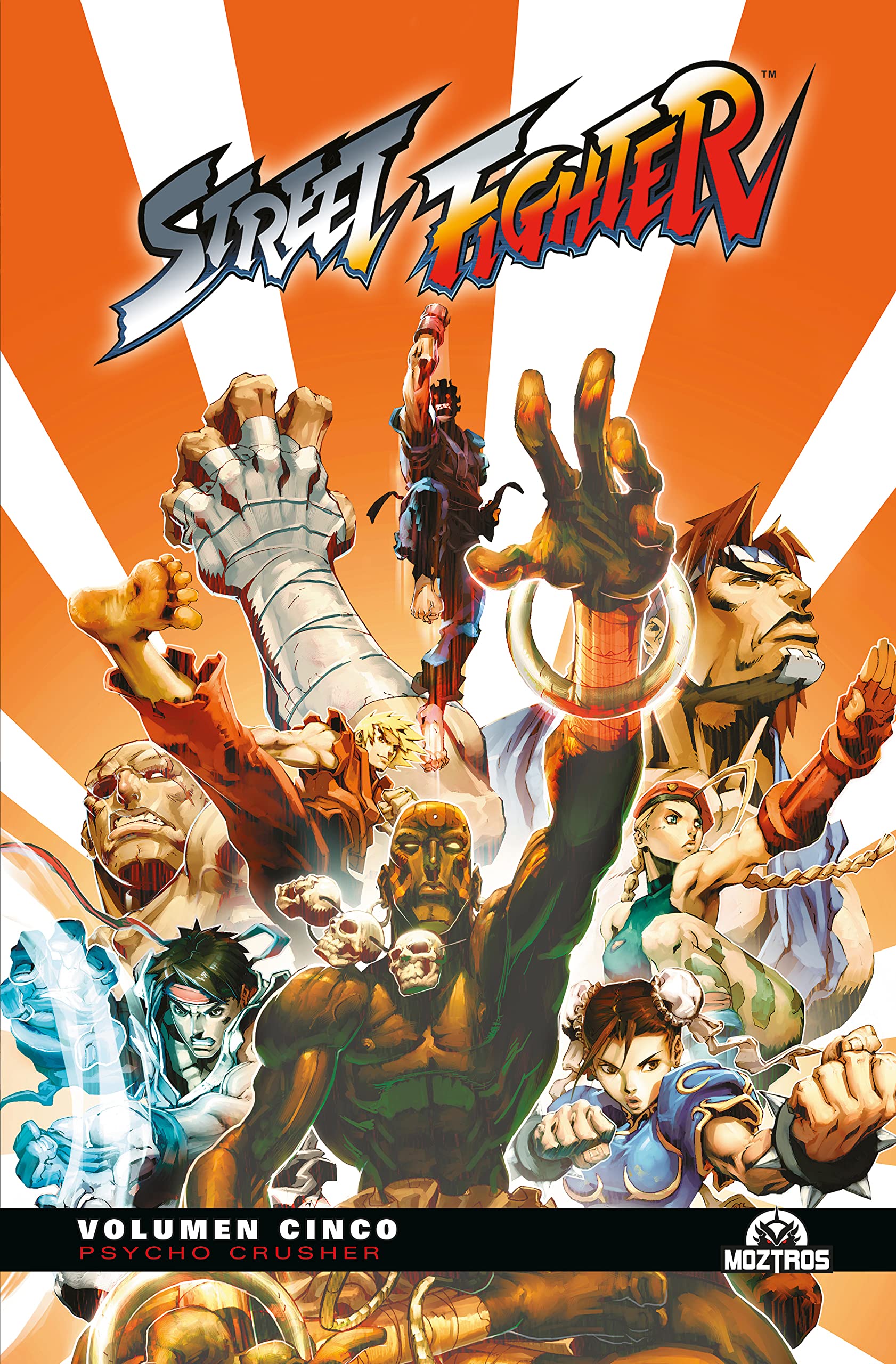 Street Fighter 05 book