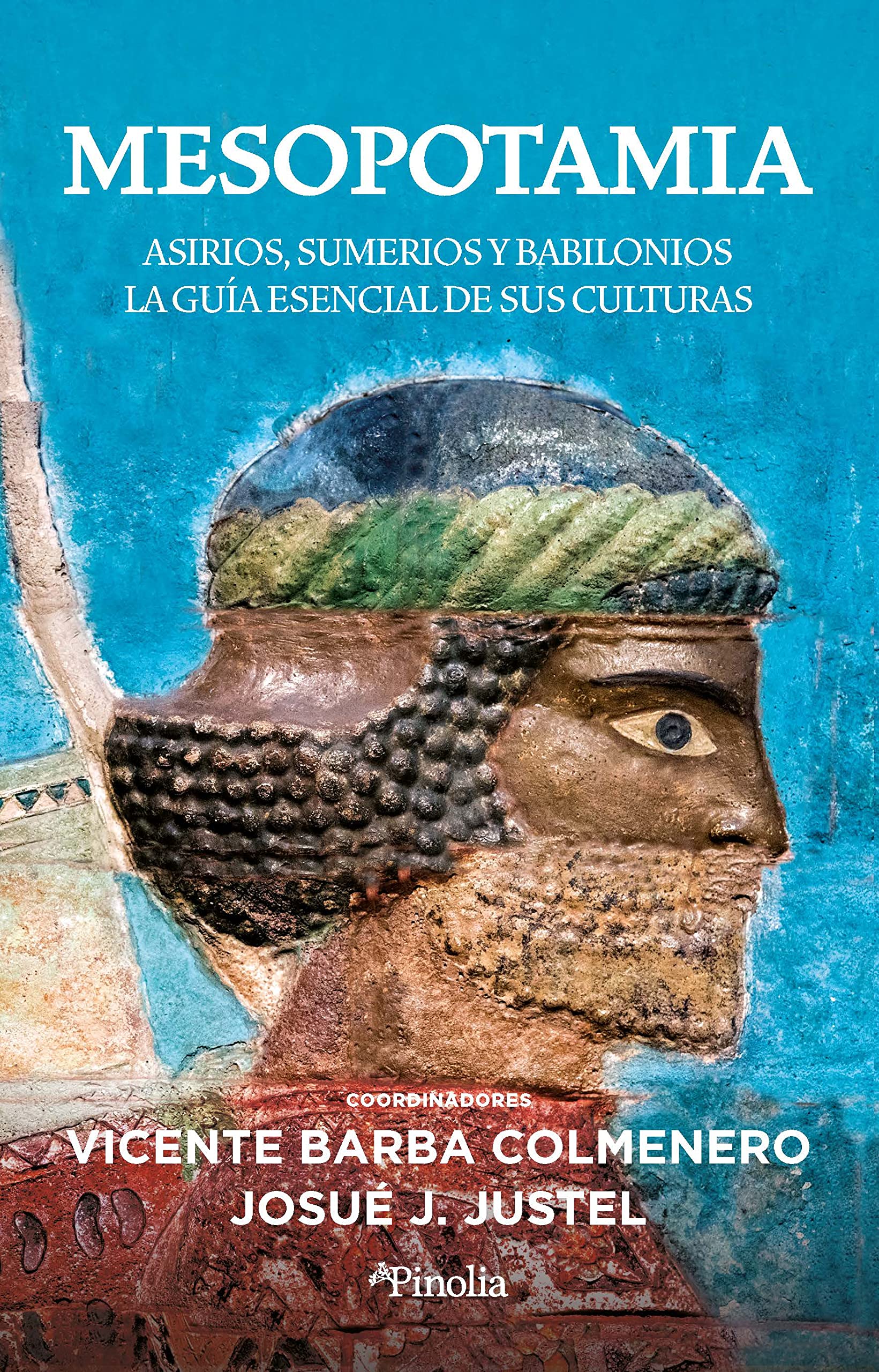 Mesopotamia: Asirios, sumerios y babilonios: la guía esencial de sus culturas (Divulgación histórica) Film, Art & Culture