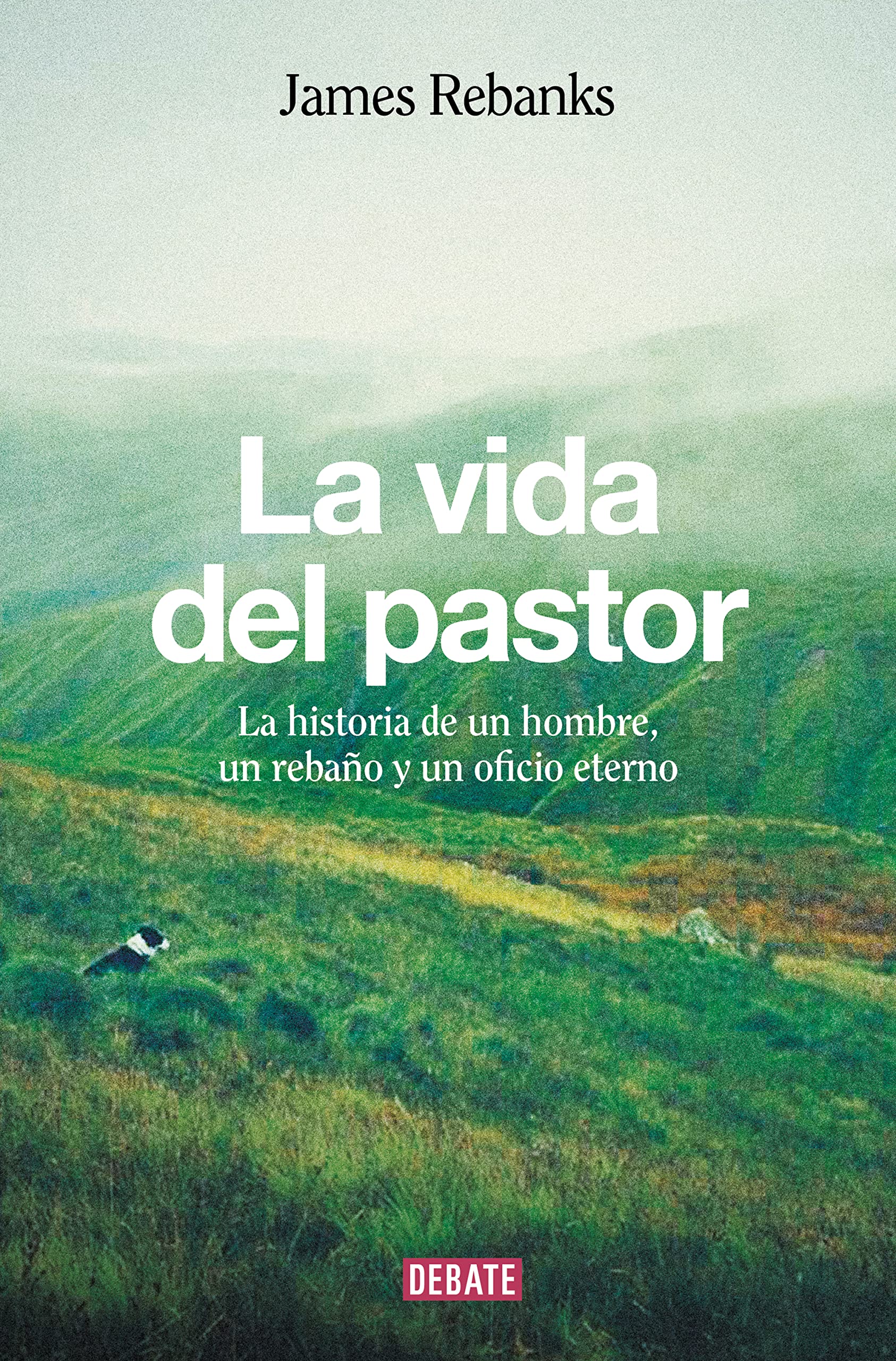 La vida del pastor (Sociedad) Memories