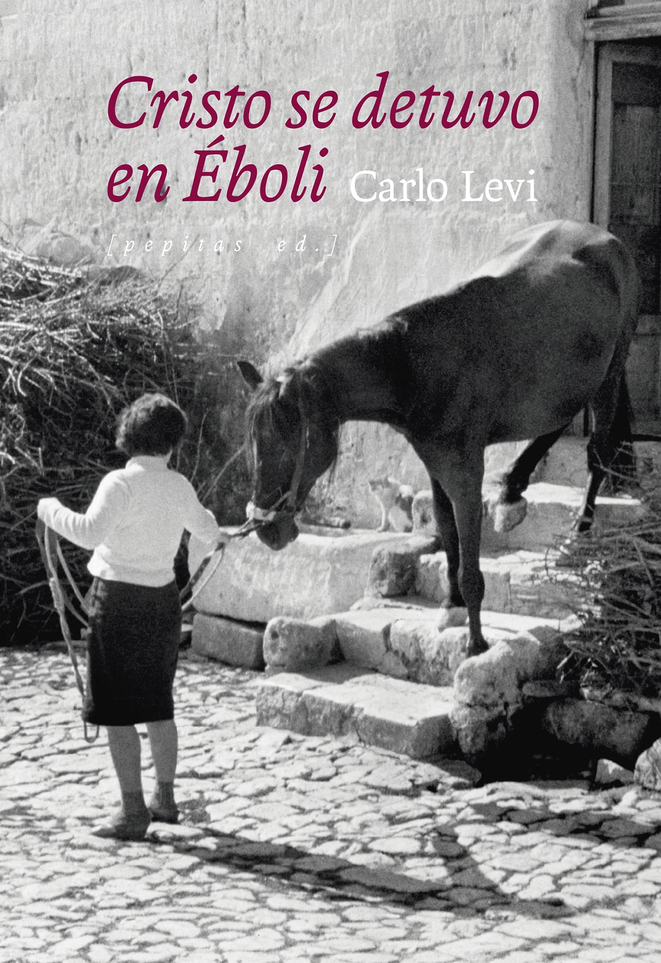 Cristo se detuvo en Éboli book
