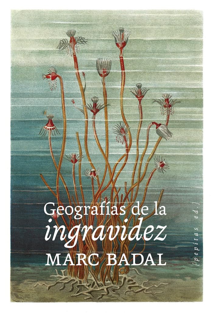 Geografías de la ingravidez Social Sciences